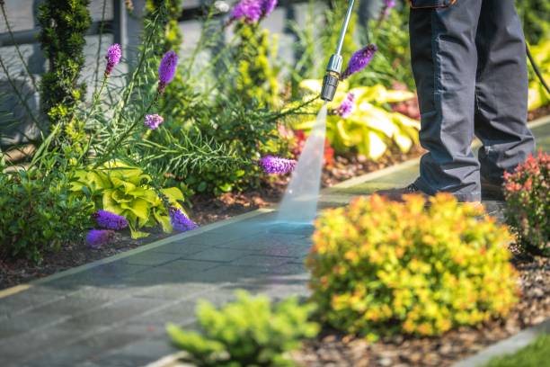 Best Spring Cleaning  in East Milton, FL